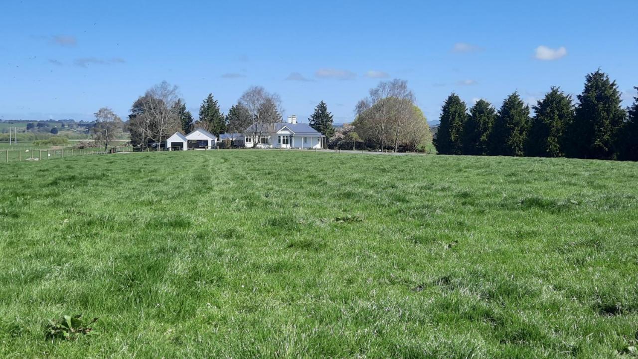 Greenfield Country Homestay Pukeawa Exteriör bild