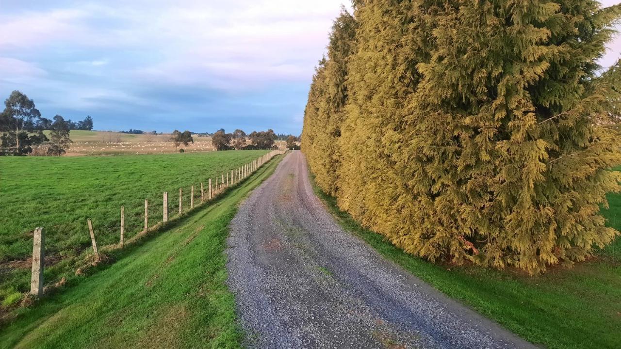 Greenfield Country Homestay Pukeawa Exteriör bild